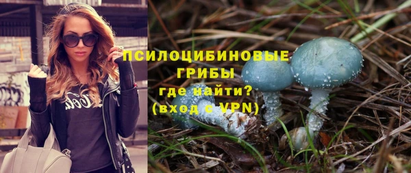 гашик Белокуриха