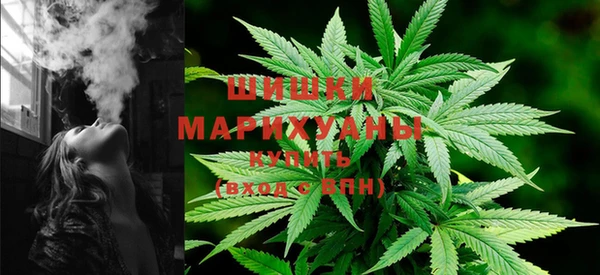 PSILOCYBIN Балабаново