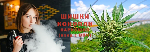 гашик Белокуриха