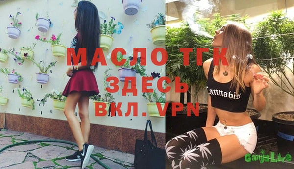 гашик Белокуриха