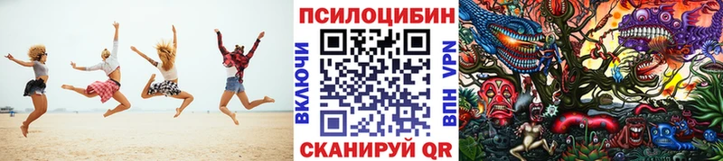 Галлюциногенные грибы Psilocybine cubensis  Гулькевичи 